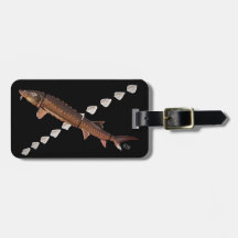 Shortnose stör & Scutes bagagemärkre