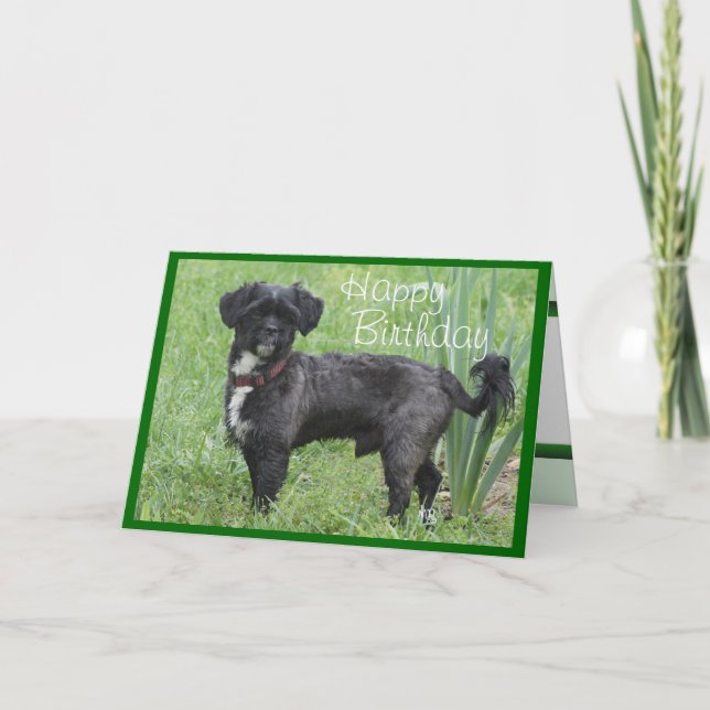 Shorty Iris-skräddarsy by något tillfälle Kort (Framsida)