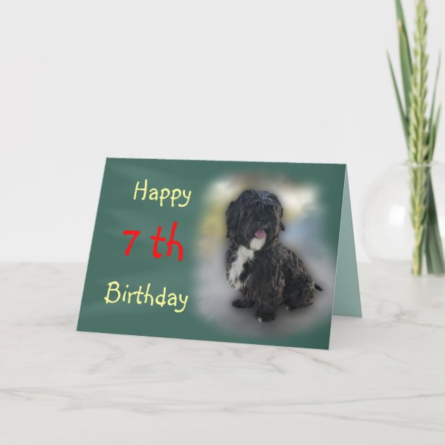Shorty Lhasa Apso-Shih Tzu Card-anpassa Kort (Framsida)