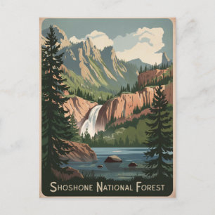 Shoshone National Forest Vintage Vykort
