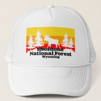 Shoshone National Forest Wyoming