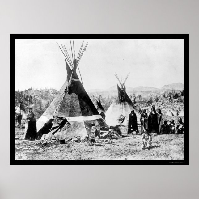 Shoshoni Indian and Skin Tipis 1884 Poster (Framsidan)