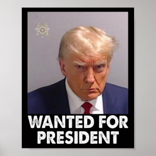 Shot Trump Lupny ville ha talman 2024 Poster