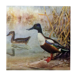 Shoveleren duckar vintageillustrationen kakelplatta