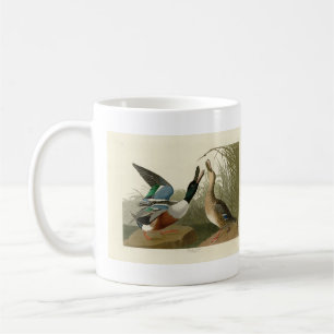 Shoveller Anka - från Audubon's Birds of America Kaffemugg