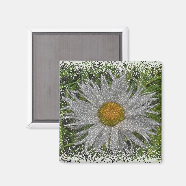 Show Me A Daisy #1 Magnet (Front/Back)