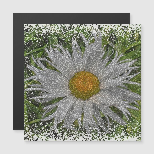 Show Me A Daisy #1 Magnetic Card (Fram/baksida)