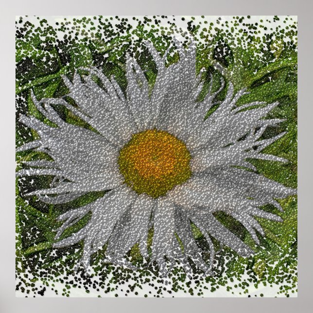 Show Me A Daisy #1 Poster (Framsidan)