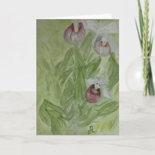 Showy Dam Slipper Orchids Tack Kort