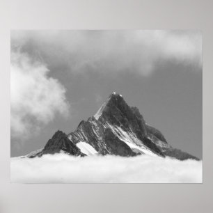 Shreckhorns topp, 3741 m. från Faulhorn, Poster