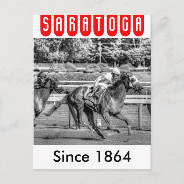 Shrewd One av Smarty Jones Vykort (Framsida)