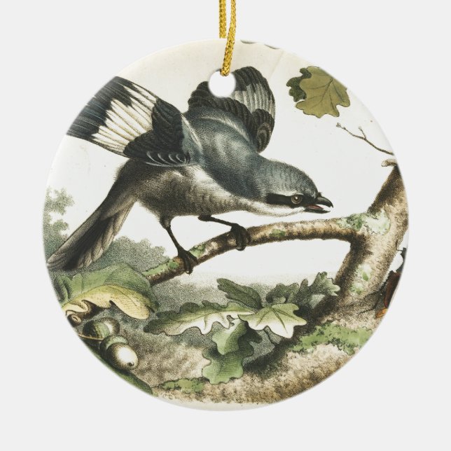 SHRIKE-FÅGEL MED KRYP JULGRANSPRYDNAD KERAMIK (Framsidan)