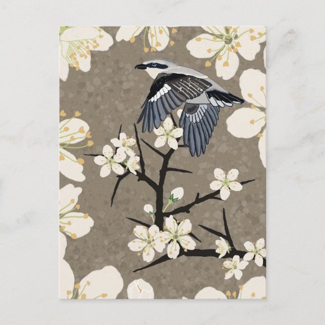 Shrike Helg Vykort (Framsida)