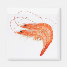 Shrimp Älskare