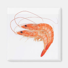 Shrimp Älskare Magnet