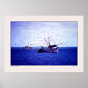 Shrimp Boats Texas Bukt Poster