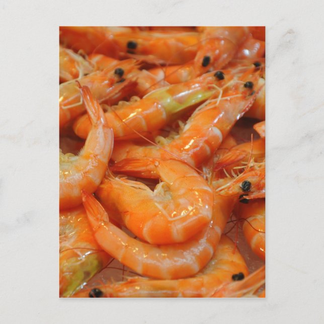 Shrimp Prawns Vykort (Framsida)