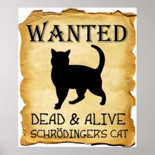 Shrodingers Cat Funny Poster