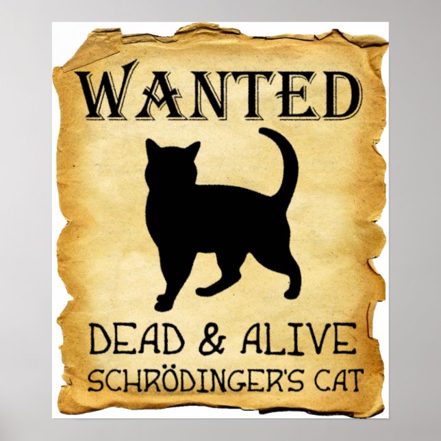 Shrodingers Cat Funny Poster (Framsidan)