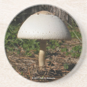 Shroom 0659 Underlägg Sandsten