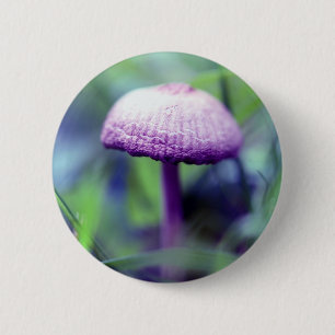 Shroom Knapp