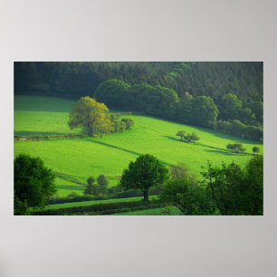 Shropshire Backe Poster