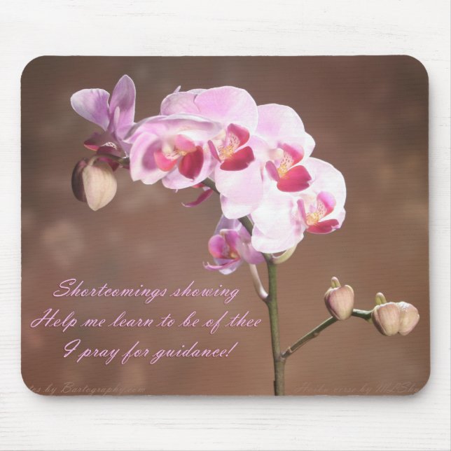 Shrtcomings visning musmatta (Framsidan)