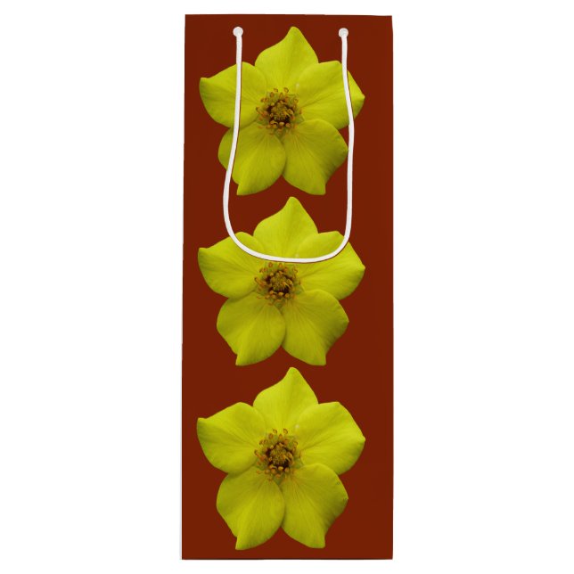 Shrubby Cinquefoil #1 (Framsidan)