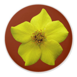 Shrubby Cinquefoil #1 Knopp