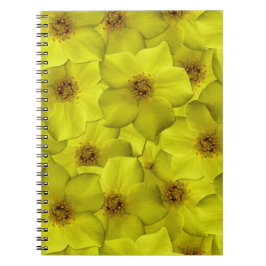 Shrubby Cinquefoil Seamless Mönster Anteckningsbok