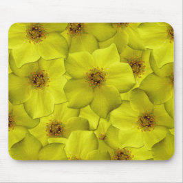 Shrubby Cinquefoil Seamless Mönster Musmatta