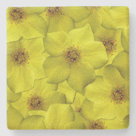 Shrubby Cinquefoil Seamless Mönster Stenunderlägg