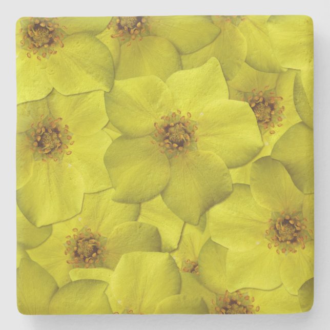 Shrubby Cinquefoil Seamless Mönster Stenunderlägg (Framsidan)