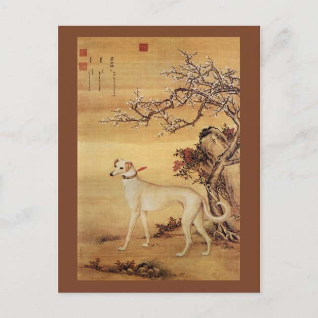 Shuanghuayao~霜 花 鹞 ~ Greyhound ~Giuseppe Castiglio Vykort (Framsida)