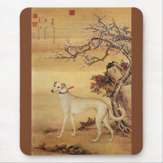 Shuanghuayao~霜 花 鹞 ~Greyhound ~Giuseppe Castiglion Musmatta