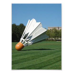 Shuttlecock i staden Kansas Fototryck