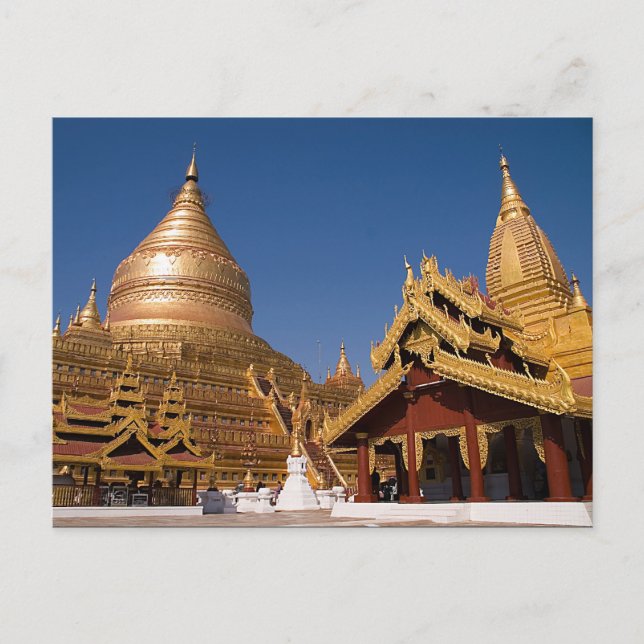 Shwezigon Paya Postcard Vykort (Framsida)