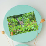 Shy Hjort Funny Wildlife Birthday Kort<br><div class="desc">Ett humoristiskt födelsedagskort för en som försöker gömma sin födelsedag! Kortet innehåller fotobilden av en hjort som gömmer i penseln. Välj från projektionsyta eller glansigt stil-kort.</div>