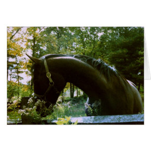 Shy Horse Photography Art Hälsningskort