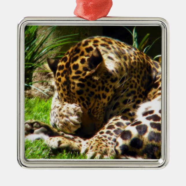 Shy Leopard Julgransprydnad Metall (Framsidan)
