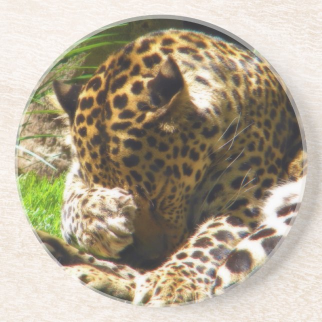 Shy Leopard Underlägg (Framsidan)