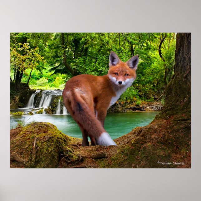 "Shy Little Vixen" Poster (Framsidan)