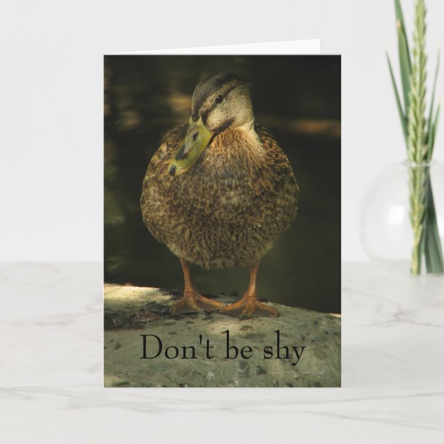 Shy Mallard Valentines dagskort Helgkort (Framsida)