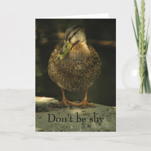 Shy Mallard Valentines dagskort Helgkort