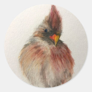 Shy Red Bird-fästmärke Ställ in originalteckning Runt Klistermärke