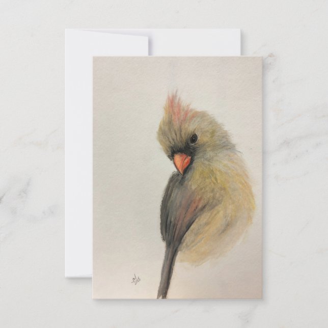 Shy Red Bird Note-kort Tack Kort (Framsida)