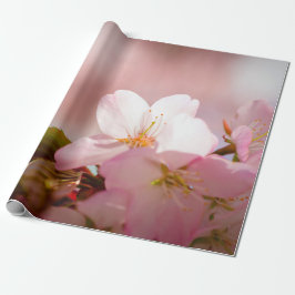 Shy Sakura Flower Shelters in own Behind Blommars Presentpapper