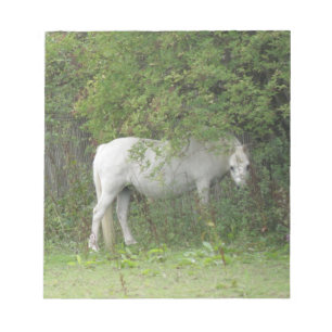 Shy White Horse Anteckningsblock