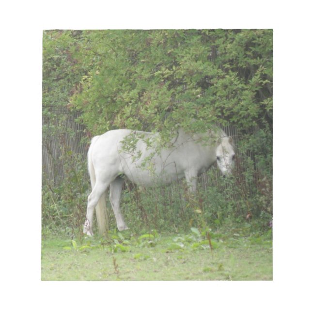 Shy White Horse Anteckningsblock (Framsida)