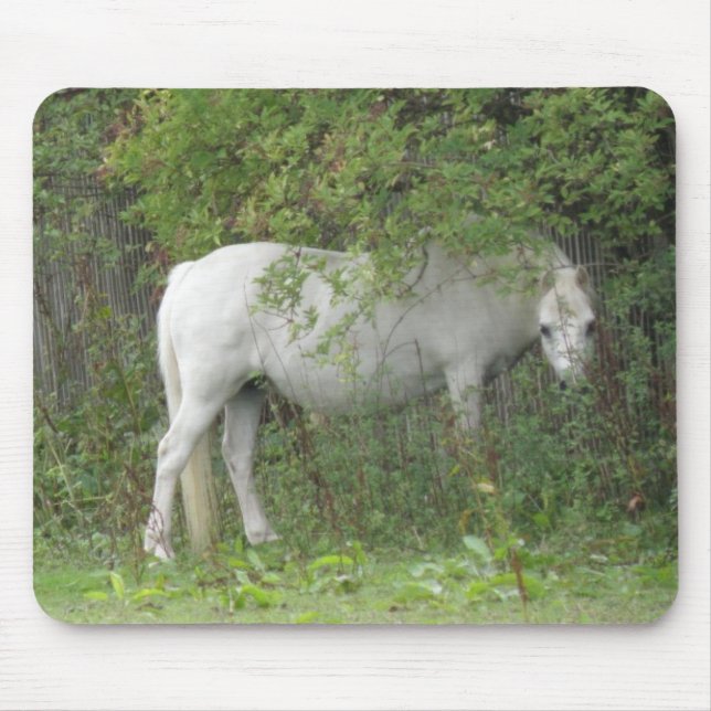 Shy White Horse Mousepad Musmatta (Framsidan)